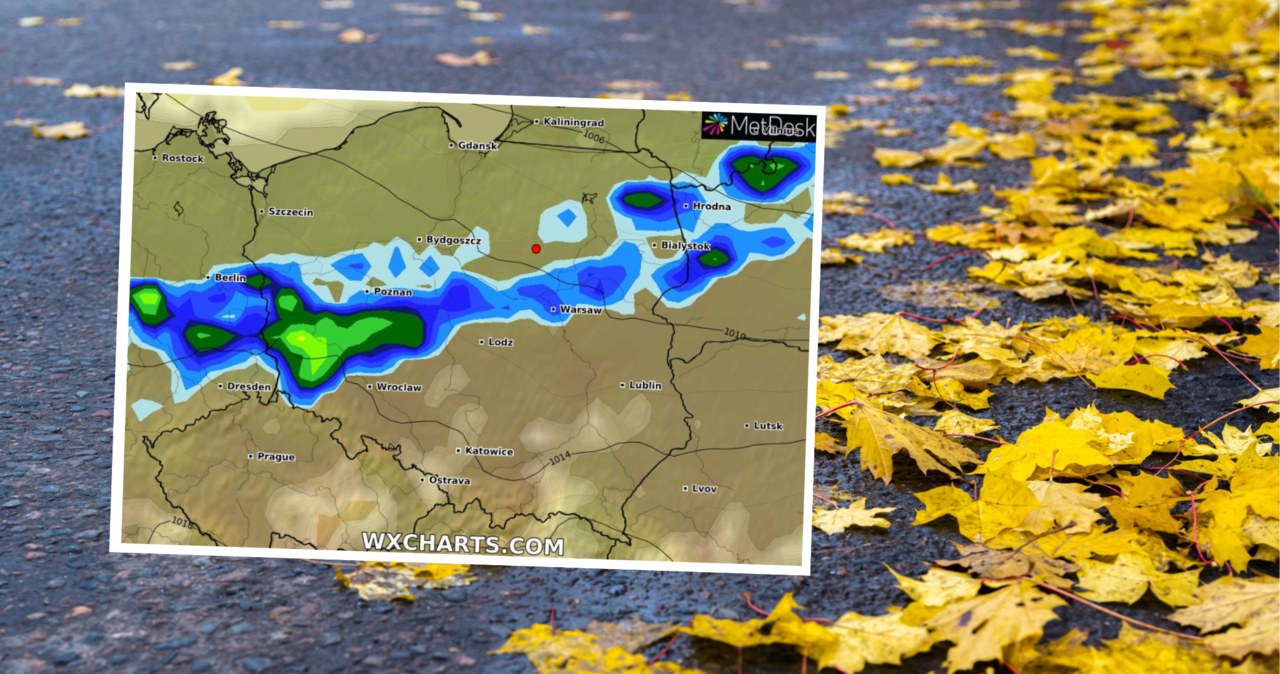 W czwartek będzie stosunkowo ciepły, jednak silnie powieje. Wydano alerty IMGW dla dwóch województw na północy Polski /vasmamart/123rf/WXCHARTS /
