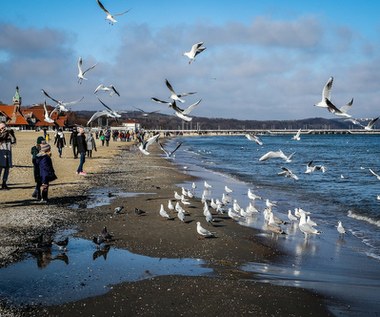 W czwartek silny wiatr i opady. Ale nadchodzi ocieplenie