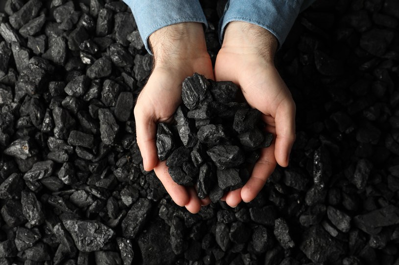 W czwartek sklep internetowy Polskiej Grupy Górniczej (PGG) sprzedał ponad 30 tys. ton węgla /123RF/PICSEL