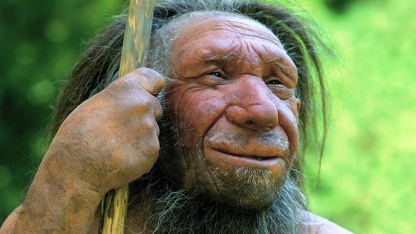 W czym mogą nam pomóc liczące 50 tysięcy lat odchody Neandertalczyka? /Geekweek