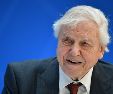 W czym tkwi sekret długowieczności Davida Attenborougha? Wykluczył z diety jeden składnik
