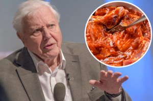 W czym tkwi sekret długowieczności Davida Attenborougha? Wykluczył z diety jeden składnik