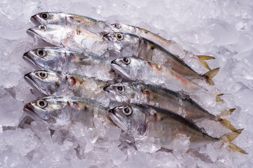 W diecie przeciwzapalnej powinny znaleźć się ryby /123RF/PICSEL