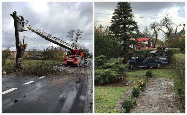 W Dobrzeniu Wielkim w wypadku zginęła jedna osoba /Gorąca Linia RMF FM