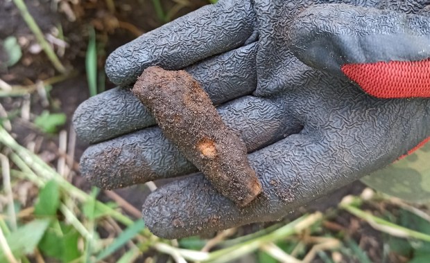 W Dolinie Śmierci w Chojnicach znaleziono szczątki. W poniedziałek rozpoczną się tam prace