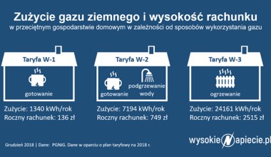 W domu, w firmie, na morzu. Gaz to uniwersalne i ekologiczne paliwo