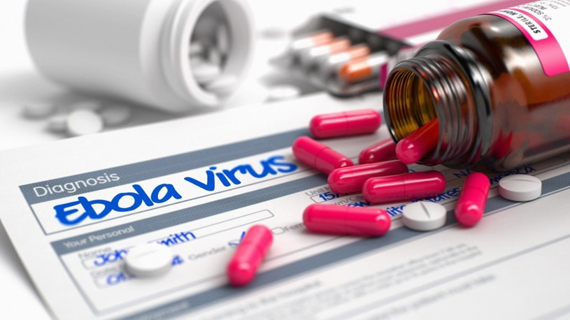 W DR Konga trwają testy pierwszych czterech leków na ebolę /East News