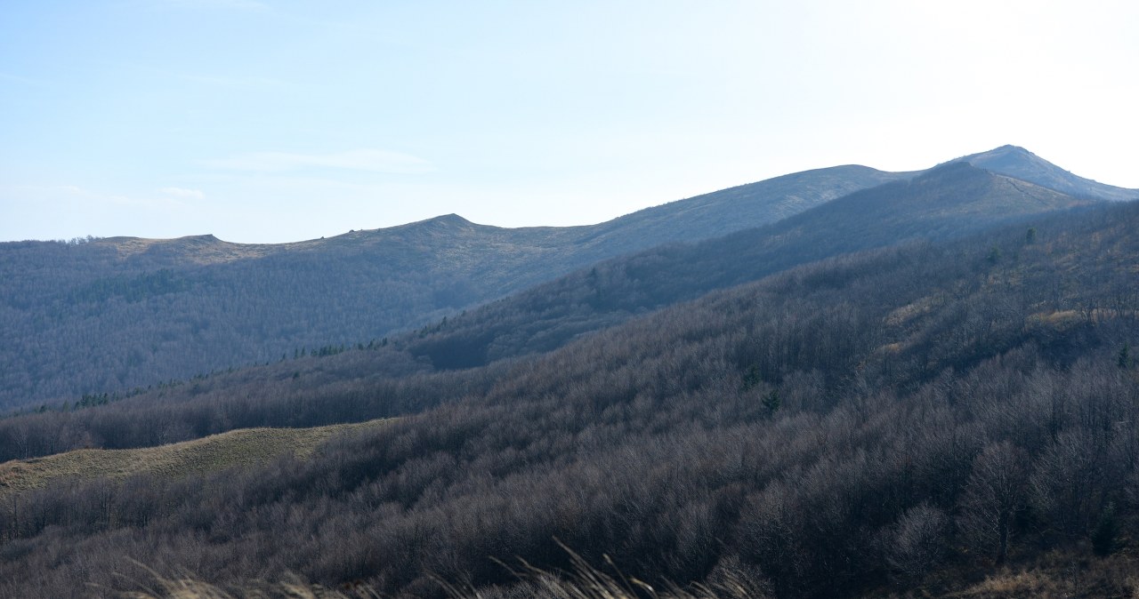 W drodze na Bukowe Berdo bieszczadzkie pejzaże zachwycają /East News