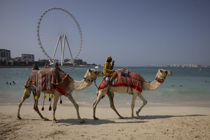 W Dubaju jest sporo darmowych, dobrze utrzymanych plaż. Pogoda? Ciepło cały rok /Paula Bronstein /Getty Images