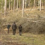 W dwa lata zniszczyły rezerwat. "Za naszego życia już się nie odrodzi"