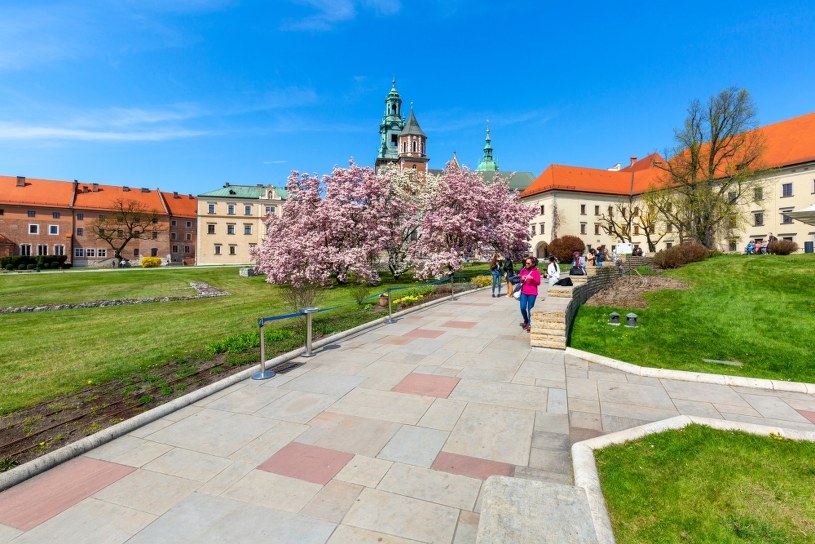 W dwóch regionach termometry wskażą 25 stopni. "Ekstremalnie ciepły marzec"
