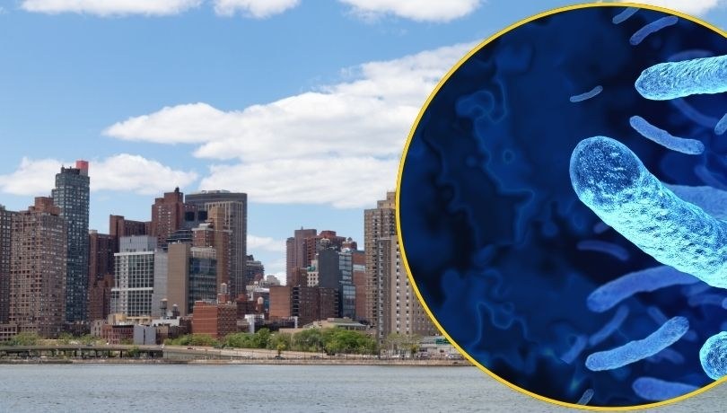 W dzielnicy Central Harlem w Nowym Jorku stwierdzono ponad 114 przypadków tzw. choroby legionistów. /Shutterstock