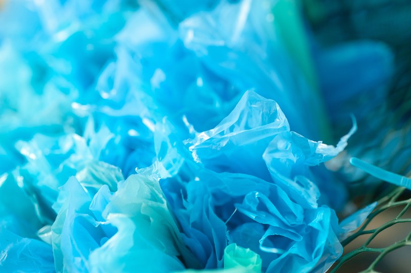 W eksperymencie wykazano, że bakterie na plastiku rozwijają się dużo szybciej. Może to pomóc w usuwaniu tworzyw sztucznych ze zbiorników wodnych /JHU Sheridan Libraries/Gado /Getty Images