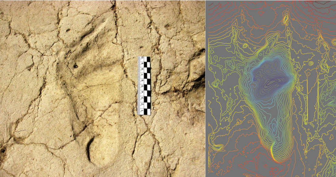 W Etopii znaleziono ślady stóp liczące 700 000 lat /materiały prasowe