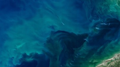 ​W Europie odkryto "największy podwodny skarb" XXI wieku