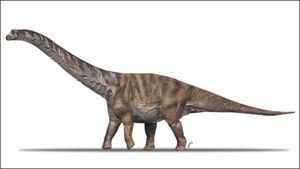 W Europie odkryto nowy gatunek tytanozaura