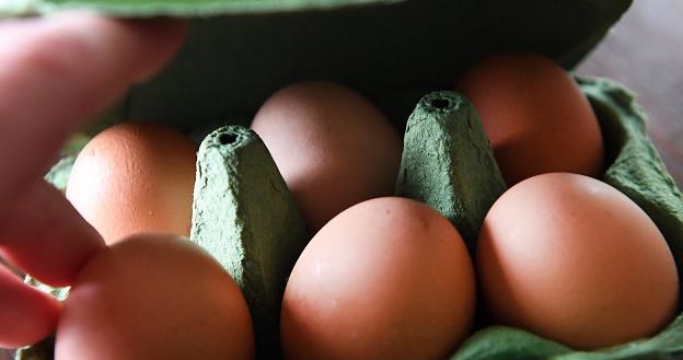 W Europie wiele milionów jaj z insektycydem /PAP/EPA