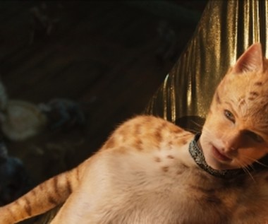 W filmie zobaczymy m.in.: Jamesa Cordena, Judi Dench, Jasona Derulo, Idrisa Elbę, Jennifer Hudson, Iana McKellena, Taylor Swift oraz Rebel Wilson, a także główną solistkę Royal Ballet – Franceskę Hayward w jej ekranowym debiucie.