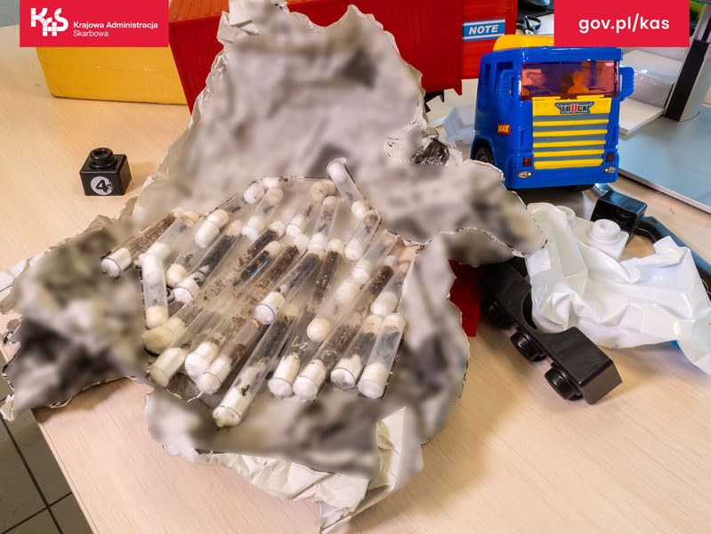 W fiolkach było 17 gatunków mrówek /foto: slaskie.kas.gov.pl /