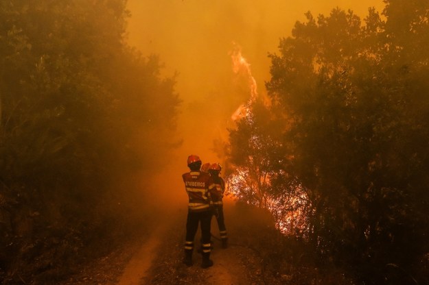 W gaszeniu ognia w środkowej Portugalii bierze udział ponad 2300 osób z wykorzystaniem 800 wozów strażackich oraz 22 maszyn lotniczych /PAULO NOVAIS /PAP/EPA