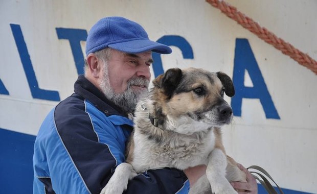 W Gdyni stanie pomnik psa Baltica