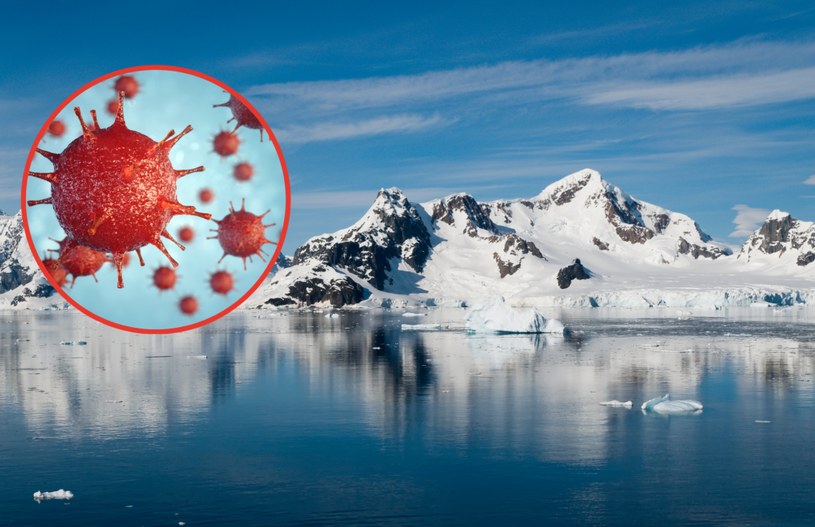 W glebie Antarktydy występują bakterie odporne na antybiotyki /123RF/PICSEL