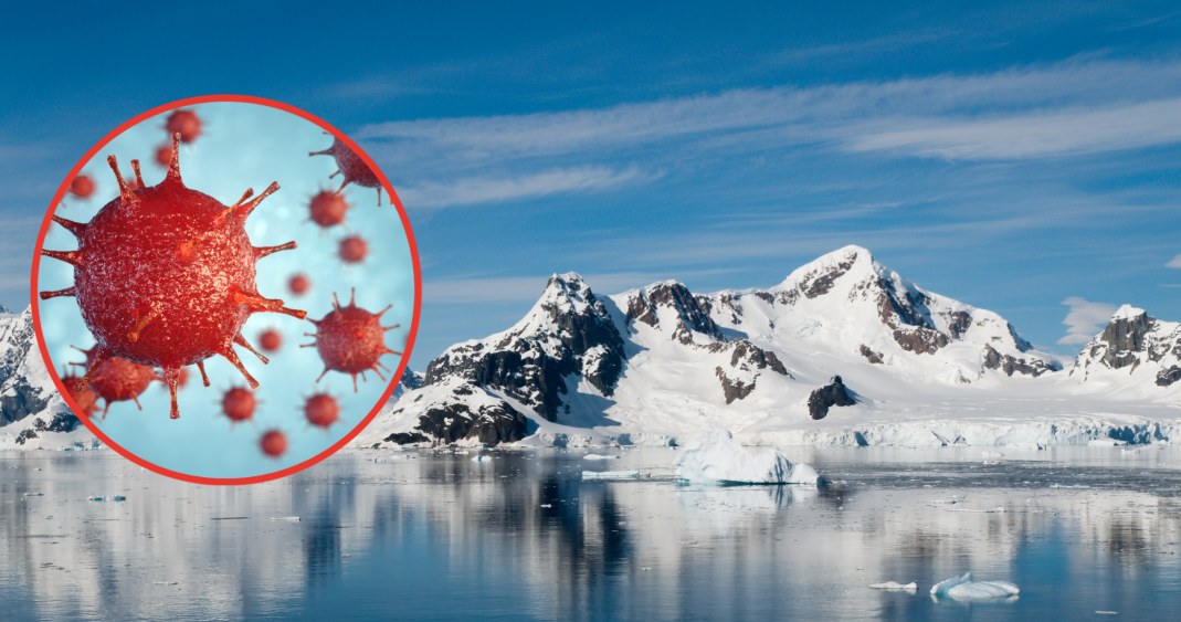 W glebie Antarktydy występują bakterie odporne na antybiotyki /123RF/PICSEL