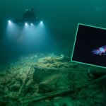 W głębinach, gdzie nie dociera światło, naukowcy odnaleźli nieznane stworzenia