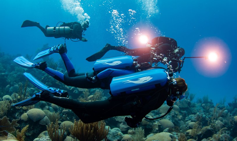 W głębinach oceanów czeka na nas wiele tajemnic do odkrycia /materiał partnera