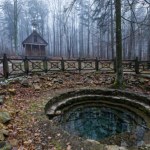 W Górach Świętokrzyskich ma powstać moloch. Ekolodzy alarmują