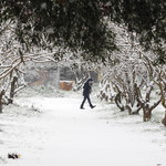 W Grecji spadł śnieg. Uczniowie przechodzą na zdalne zajęcia