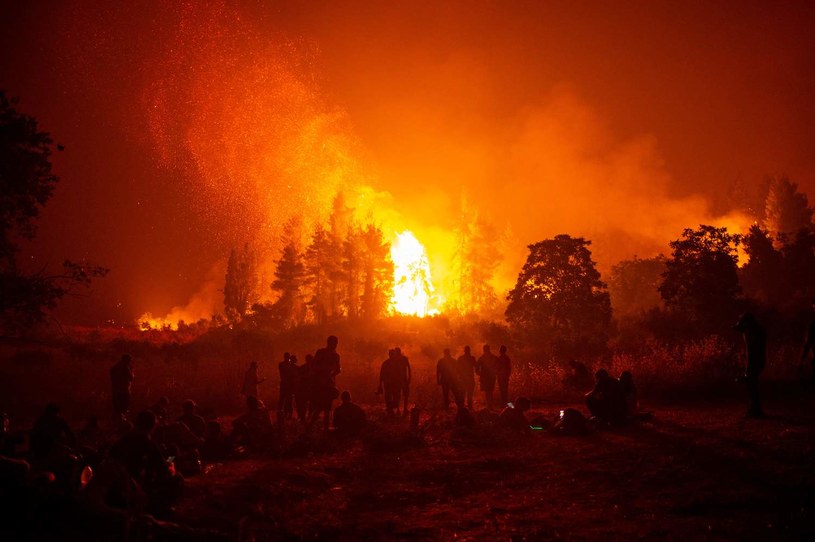W Grecji tego lata wybuchło ponad pół tysiąca pożarów /Angelos Tzortzinis /AFP