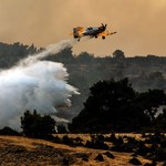 W Grecji w lipcu spłonęło ponad 13 tys. hektarów lasów
