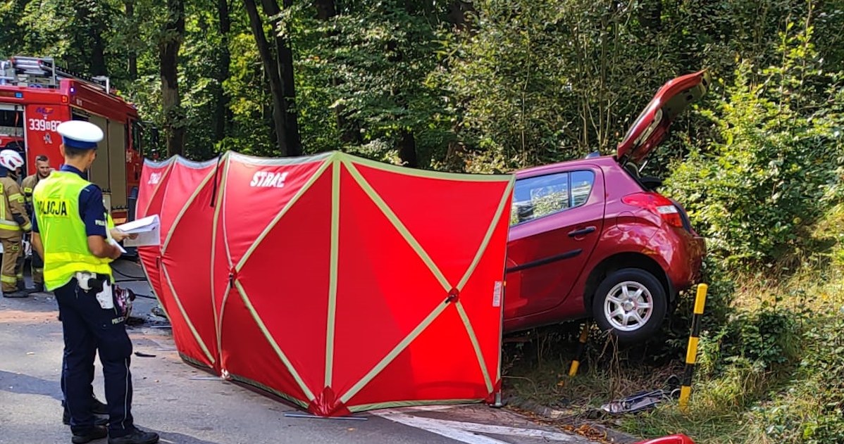 W Hyundaiu, który rozbił się o betonowy krąg, zginęło starsze małżeństwo /Policja