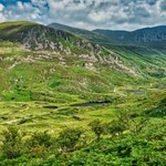 W Irlandii odkryto tajemnicze prehistoryczne budowle. Czym są?