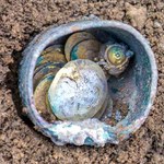 W Izraelu odkopano garniec złotych monet