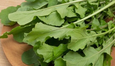 W jadłospisie osób starszych powinna być obowiązkowa. Ma zbawienny wpływ na oczy, stawy i jelita