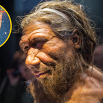 W jaki sposób nasze neandertalskie geny pomagają nam w codziennym życiu?