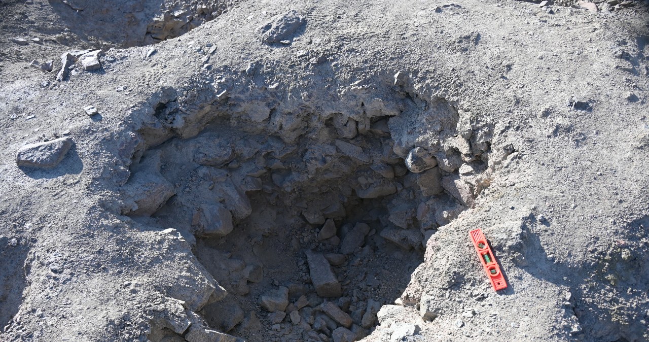 W jakim celu Inkowie wykonali otwory? /Charles Stanish/University of Sydney /East News