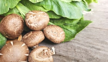 W Japonii są cenione od lat. Mogą pomóc z częstą przypadłością Polaków