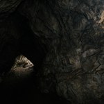 W jaskini odnaleźli brakujący fragment artefaktu sprzed 35 tysięcy lat. Wprawił naukowców w konsternację 