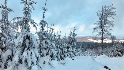 W kalendarzu wiosna, za oknem zima. IMGW wydaje ostrzeżenia