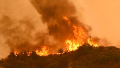 W Kalifornii płoną lasy. Wszystko przez rekordowe upały