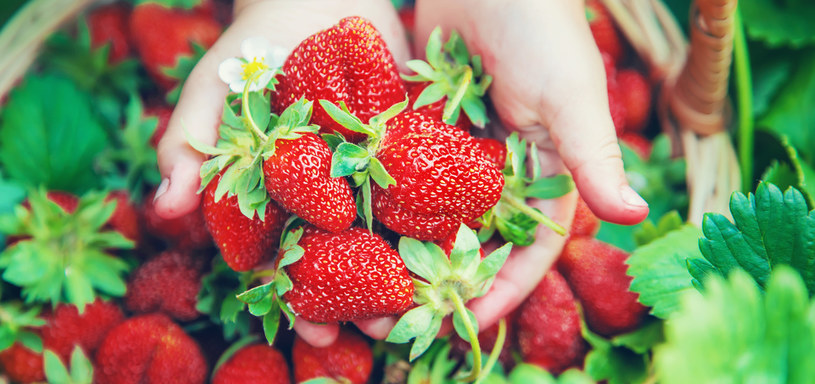 W kanonie alergizujących pokarmów znaleźć możemy cały szereg owoców i produktów uważanych powszechnie za zdrowe. Dlatego też przy różnorodnej diecie należy zachować zdrowy rozsądek /123RF/PICSEL