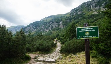 W Karkonoszach stanęły nowe, żółte tabliczki. Zwróć uwagę na napis 