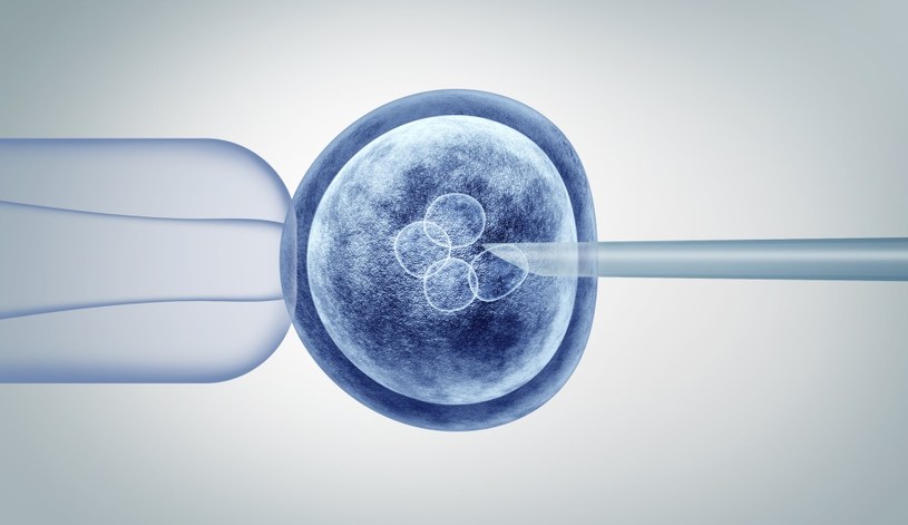 W każdym laboratorium pozwalającym na zapłodnienie in vitro, tak naprawdę da się edytować genomy zarodków /123RF/PICSEL