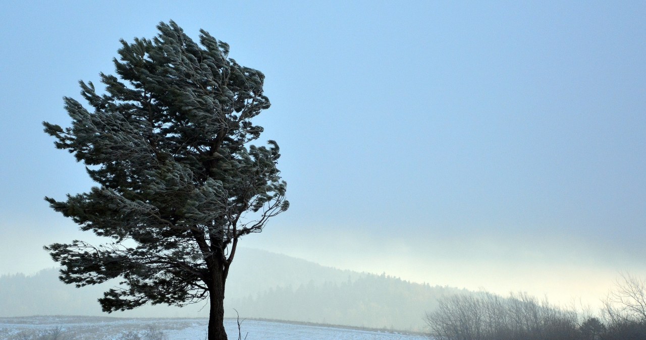 W kilku miejscach kraju silnie powieje; zdj. ilustracyjne /Wojciech Zatwarnicki /Reporter