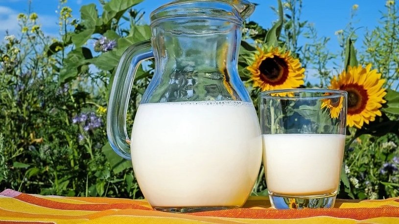 W końcu są dowody, że mleko drastycznie zwiększa ryzyko zachorowania na raka piersi /Geekweek