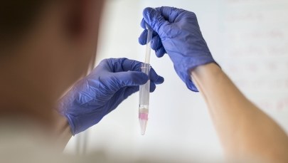 W Krakowie nie będzie programu finansowania "in vitro"