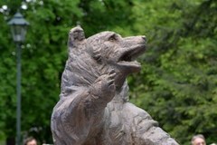 W Krakowie odsłonięto pomnik niedźwiedzia Wojtka